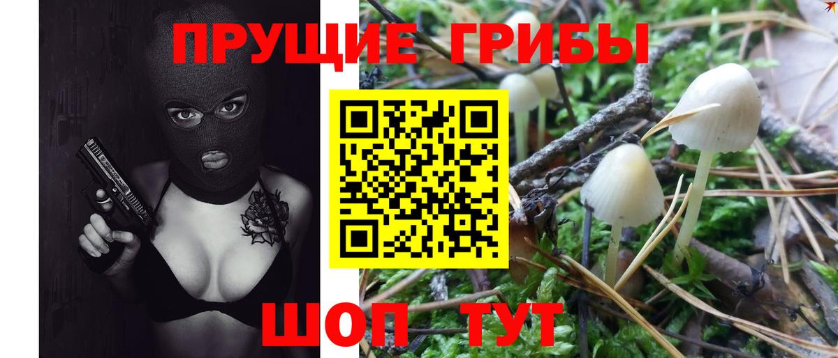 Усть-Илимск  Галлюциногенные грибы Psilocybine cubensis  Вход с VPN 