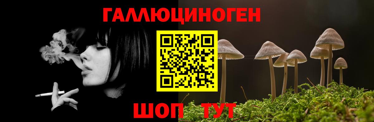 Псилоцибиновые грибы MAGIC MUSHROOMS Усть-Илимск